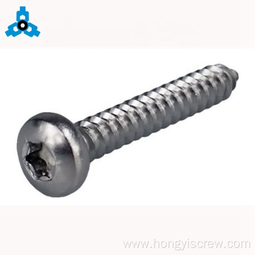 SS Rust Proof Thread Forming Torx Self-Tapping Screw